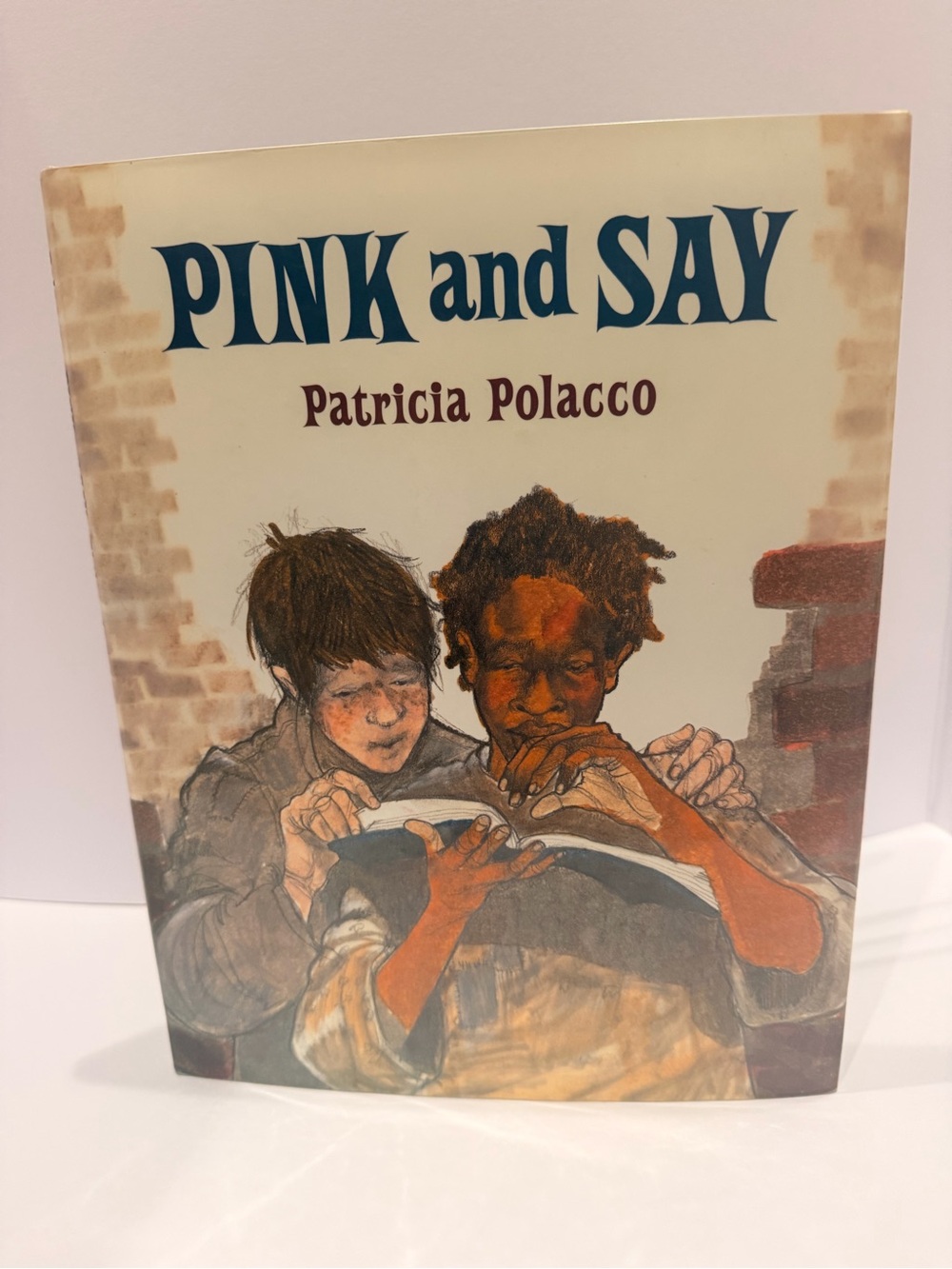 Pink and Say by Patricia Polacco Hardcover Book